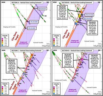 Figure3: Cross-sections across the Lion Zone. A to D, from west to east, looking eastward. Sections are vertical and 100m apart, with a +/- 50m view corridor. (CNW Group/Power Nickel Inc.)