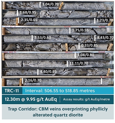 Figure 3: Drill Core Tray Photo Highlighting TRC-11 (CNW Group/Collective Mining Ltd.)