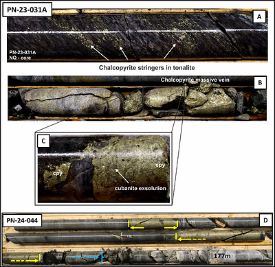 Figure 2: Chalcopyrite stringers (A) and massive chalcopyrite (B) in DDH PN-23-031A. Cubanite exsolutions are seen within the massive chalcopyrite (C). Massive chalcopyrite observed in PN-24-044 (D). (CNW Group/Power Nickel Inc.)