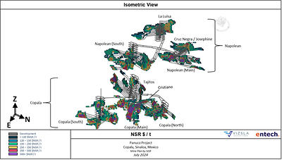 Figure 1:  Proposed stope shapes by NSR ($US/t) for the Panuco Project (CNW Group/Vizsla Silver Corp.)