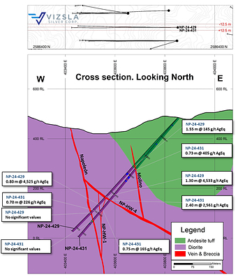 Figure 4: Cross section showing drillhole intercepts on Napoleon HW4 and Molino veins. (CNW Group/Vizsla Silver Corp.)