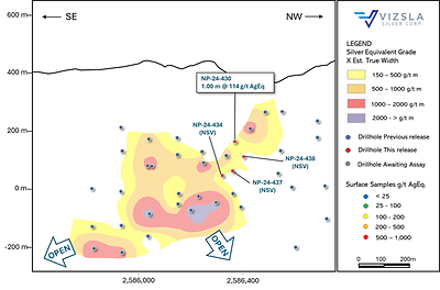 Figure 3: Longitudinal section of the Footwall Vein at La Luisa. (CNW Group/Vizsla Silver Corp.)