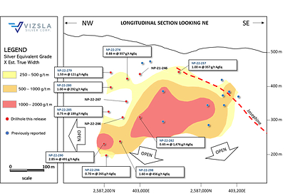 Figure 2: Longitudinal section for Cruz Negra vein showing drillhole pierce points. NP-22-287 and NP-22-293 intercepts are over 500 m NW from the NW edge of this section. (CNW Group/Vizsla Silver Corp.)