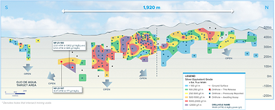 Longitudinal section of the entire main Napoleon prospect (facing west) highlighting recent drill results. (CNW Group/Vizsla Silver Corp.)