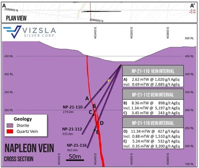 Figure 2: Cross section through most southerly holes at Napoleon. (CNW Group/Vizsla Silver Corp.)