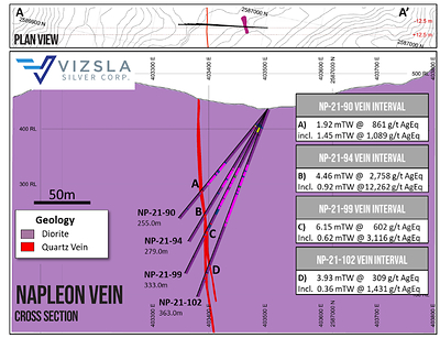 Figure 3: Cross section through most southerly holes at Napoleon. (CNW Group/Vizsla Silver Corp.)