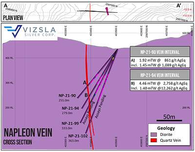 Figure 3: Cross section through most southerly holes at Napoleon. (CNW Group/Vizsla Silver Corp.)