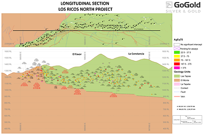 Figure 2: Favor Long Section (CNW Group/GoGold Resources Inc.)