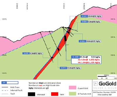 Figure 1: Main Area – Cross Section Hole LRGG-22-209 (CNW Group/GoGold Resources Inc.)