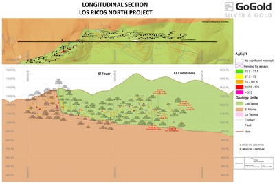 Figure 4: Favor Long Section (CNW Group/GoGold Resources Inc.)