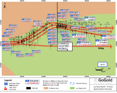 Figure 1: El Favor Drill Hole Locations (CNW Group/GoGold Resources Inc.)