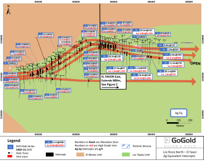 Figure 1: El Favor Drill Hole Locations (CNW Group/GoGold Resources Inc.)