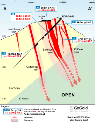 Figure 3: Cross Section –  Hole LRGF-20-025 (CNW Group/GoGold Resources Inc.)
