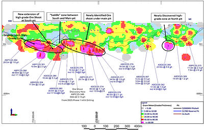 Figure 1: Long section through the Abore deposit showing Gram Meter contours of Au intercepts with highlights of current drilling labelled (CNW Group/Galiano Gold Inc.)