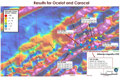 Figure 3: Plan map with gold results and geophysics for Wild Cat targets. (CNW Group/Treasury Metals Inc.)