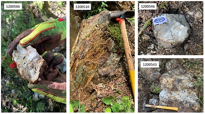 Figure 3: Examples of veining and mineralization observed at Goldrock (CNW Group/Treasury Metals Inc.)