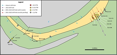 Figure 4: Geological Map of the Far East and South Syncline Area (CNW Group/Treasury Metals Inc.)