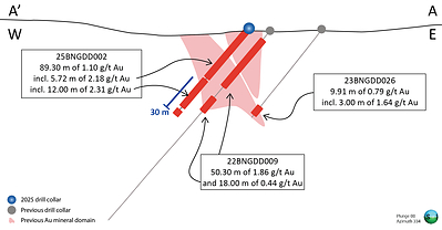 Figure 3 – Cross section showing results from drilling. Line of section is outlined in Figure 2. (CNW Group/Thesis Gold Inc.)