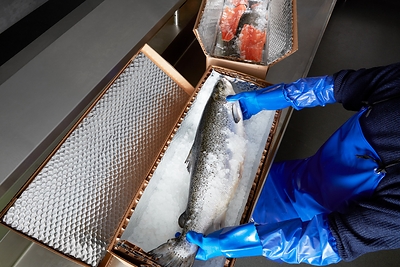 northbox® OCEAN (CNW Group/Cascades Inc.)