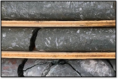 Figure 2: Wolf Vein Core from DV21-273 at 312m depth showing pyrite matrix breccia within quartz breccia (CNW Group/Dolly Varden Silver Corp.)