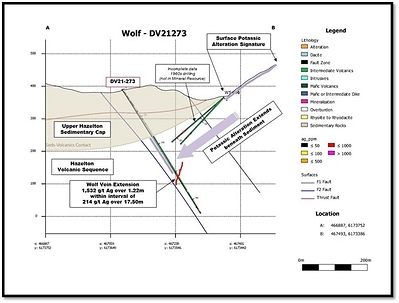 Figure 1: Wolf Vein DV21-273 section, looking northeast (CNW Group/Dolly Varden Silver Corp.)