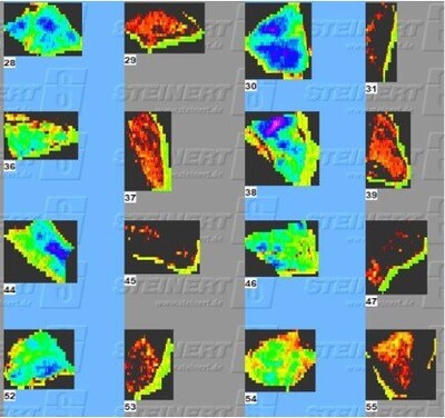 Scans of the 3D laser width responses. High Grade Vein (blue) and Gabbro (gray) (CNW Group/Soma Gold Corp.)