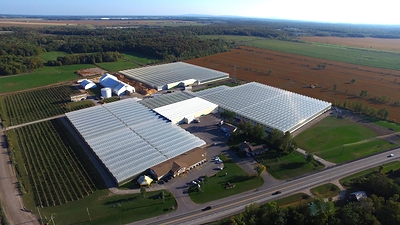 Vert Green Cush and Sour Kush are grown locally at the Mirabel facility (CNW Group/Canopy Growth Corporation)