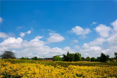 Image of MillerKnoll's GreenHouse Facility