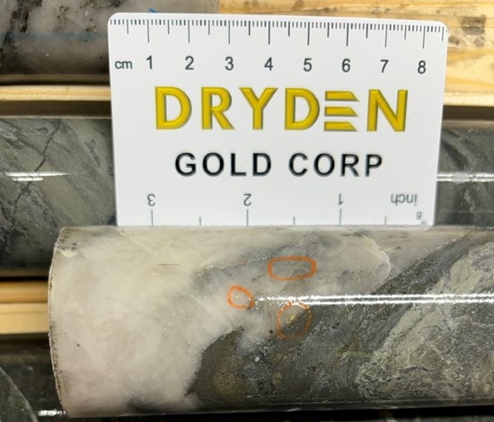 Cannot view this image? Visit: https://images.newsfilecorp.com/files/9776/202966_drydenfigure2_550.jpg