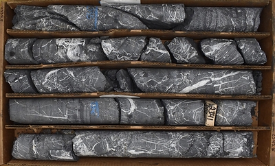 Figure 5. Drill hole IP22-004 from 711.5-714.3m (2334.5-2343.5ft). Sheared and brecciated decalcified micritic limestone, with remobilized carbon seams and graphitic shears on fractures. Intense stockwork calcite-quartz veins. Note the small-scale folds visible in the upper row of the core box. (CNW Group/Nevada King Gold Corp.)