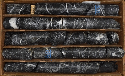 Figure 9.  IP22-001 from 468.6-471.5m (1537.5-1547ft). Decalcified and silicified carbonaceous micrite with stockwork quartz veins. (CNW Group/Nevada King Gold Corp.)