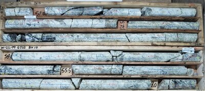 Image 1: REE Mineralization Within WI22-79 (49-63.9m interval grades 5.47% TREO) (CNW Group/Defense Metals Corp.)