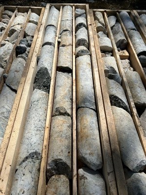 Visibly REE Mineralized Dolomite Carbonatite from Drill Hole WI22-62 (approximately 120 metres downhole) (CNW Group/Defense Metals Corp.)