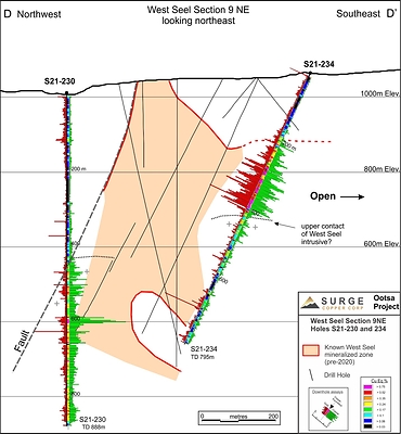 Figure 3. West Seel Cross Section D-D’ showing results for holes S21-230 and 234. See Figure 1 for section location. (CNW Group/Surge Copper Corp.)