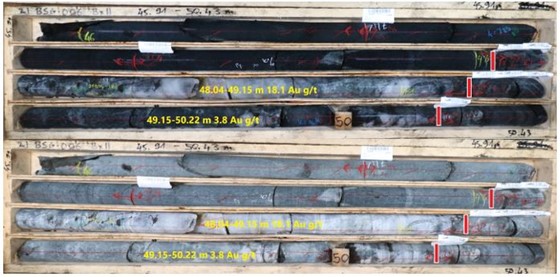 Cannot view this image? Visit: https://orders.newsfilecorp.com/files/2421/101077_bluestarimage2_560.jpg