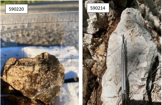 Cannot view this image? Visit: https://orders.newsfilecorp.com/files/1564/90859_goldsamples_550.jpg