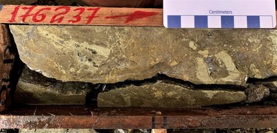 Drill core from CURI-349 - 13.61% copper equivalent over 16.96 metres (CNW Group/Adventus Mining Corporation)