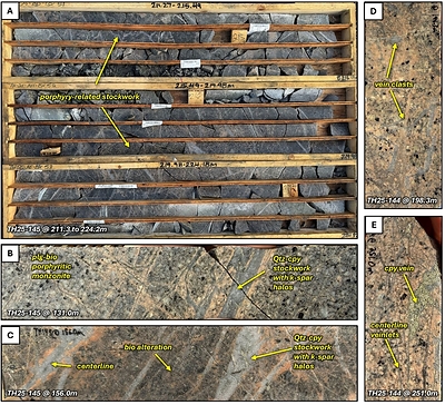 Figure 7. Core photos of TH25-144 and TH25-145. A. Box photos from hole TH25-145 from 211.3 to 224.2 meters down hole showing strong stockwork-controlled porphyry-related mineralization, B. porphyry-related quartz-chalcopyrite veins (A-type) with strong potassium feldspar halos cutting porphyritic monzonite from TH25-145 at 131.0 meters, C. porphyry-related quartz-chalcopyrite veins with local centerlines with strong potassium feldspar halos cutting biotite altered monzonite from TH25-145 at 156.0 meters, D. quartz vein clasts and wormy veins in intra-mineral biotite monzonite from TH25-144 at 198.3 meters, E. chalcopyrite-pyrite vein and fine quartz-feldspar veinlets cutting biotite porphyritic monzonite from TH25-144 at 251.0 meters. Abbreviations: qtz = quartz, cpy = chalcopyrite, bio = biotite, k-spar = potassium feldspar, plg = plagioclase. (CNW Group/Vizsla Copper Corp.)