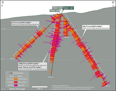 Figure 5. North-south section (8600E, D-D’) showing copper and molybdenum assays down hole for drill holes TH25-141, 142 and 147. See Table 1 and associated footnotes for CuEq metal and calculation inputs. (CNW Group/Vizsla Copper Corp.)