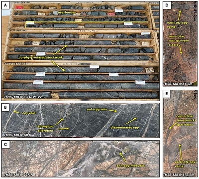 Figure 4. Core photos of TH25-138. A. Box photos showing core from collar to 21.22 meters. Note the strong mineralization beginning at the base of overburden. Porphyry-related mineralization extends from 10.7 meters down to the end of hole at 510.0 meters, B. strong disseminated and vein-hosted chalcopyrite mineralization associated with strong biotite alteration,  C. example of late-stage anhydrite veins with bleached alteration halos, D. mineralized vein-dyke with quartz vein clasts crosscutting biotite monzonite, E. porphyry-related quartz-chalcopyrite veins with local centerlines with strong potassium feldspar halos. Abbreviations: qtz = quartz, cpy = chalcopyrite, mol = molybdenite, anh = anhydrite, bio = biotite, k-spar = potassium feldspar. (CNW Group/Vizsla Copper Corp.)