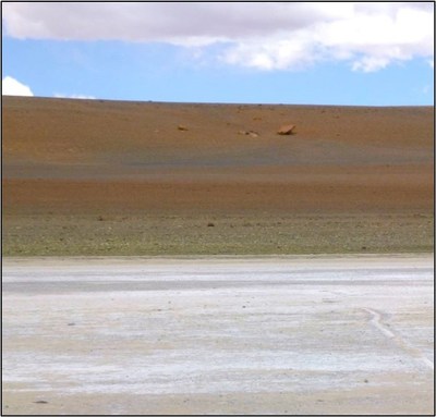 (b) - Figure 2. Photos of the (a) active salar showing lithium rich brines in the north central sector of the property and 
b) the paleo-salar area of Laguna Blanca looking to the southwest. (CNW Group/Monumental Minerals Corp.)