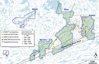 Figure 2. Planned VTEMTM flight lines for The Woods Projects (CNW Group/Fortune Bay Corp.)