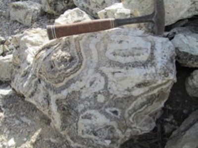 Figure 3.  Photo of vein breccia showing well developed crustiform and colloform textures, revealing a complex epithermal history likely due to boiling fluids; Cherokee mine dump