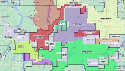 Figure 2: Decelles Property (CNW Group/POWER METALS CORP)