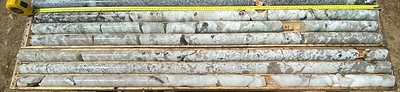 Abundant green spodumene in top core box and white and green spodumene in bottom box, last row is quartz core with coarse-grained spodumene, boxes 5 and 6, 20-29 m, PWM-22-134, Main Dyke. (CNW Group/POWER METALS CORP)