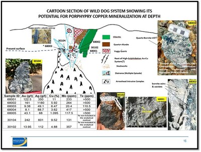 Figure 6. Schematic section for Wild Dog Zone, illustrating location of potential “Arrowhead Intrusive Complex”. (CNW Group/Fosterville South Exploration Ltd.)