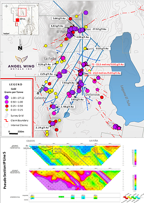Figure 1: (a) Polo-Dolorosa Target Area. Plan view showing the location of the geophysical survey grid in blue.  Overlaid with selected gold assay results over 0.1 g/t Au. Assay results vary from nil to a maximum of 27.12 g/t Au in this area. This also locates two of the historic trenches that will be drill tested to confirm historic grades, see T2 and T4; (b) IP Line 5, Section view looking westerly through the La Feña-Celeste prospects and showing some of the interpreted geology. See IP Line 5 location on (a) (CNW Group/Angel Wing Metals Inc.)