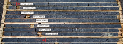 Figure 1: WG-24-116 mineralized drill intersections from 10.5 to 22.5 metres grading 0.81% Ni, 0.77% Cu. See Table 1 for results. (CNW Group/SPC Nickel Corp.)