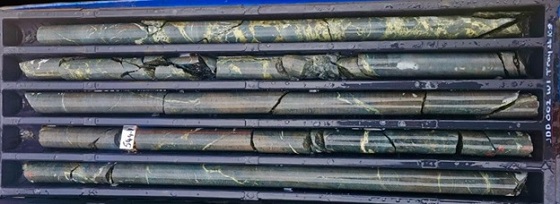 Cannot view this image? Visit: https://images.newsfilecorp.com/files/8950/230391_copper8.jpg