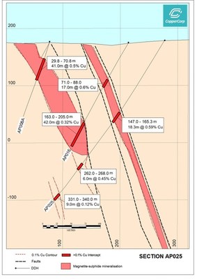 Figure 6. Drill section (looking northeast) showing results from AP025 at the Stellar Zone, Alpine Prospect.  Significant intervals are reported as downhole lengths. (CNW Group/CopperCorp Resources Inc.)